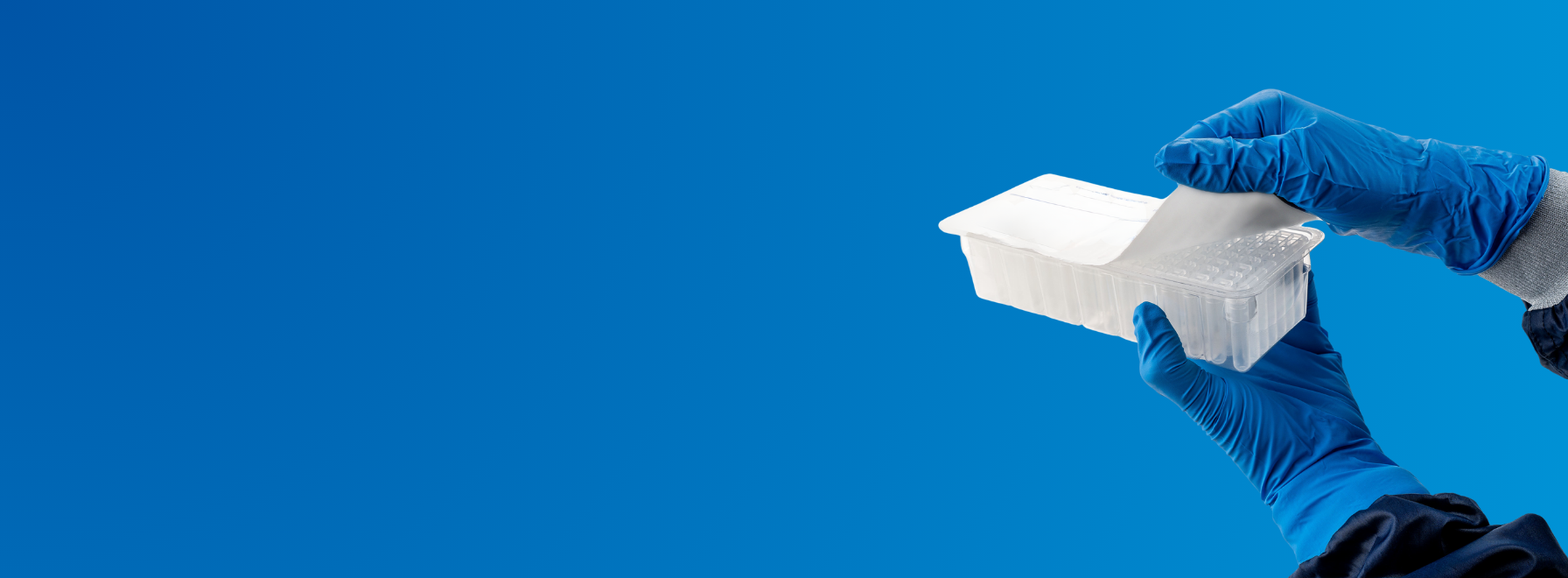 Header Image Sizing for Website (2)