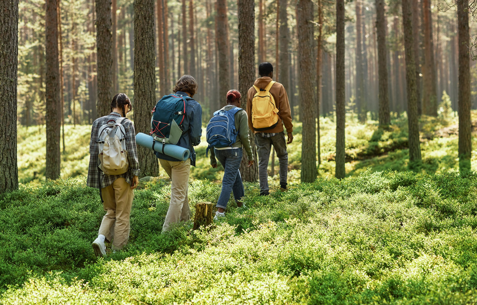 Oliver Healthcare Packaging Sustainability