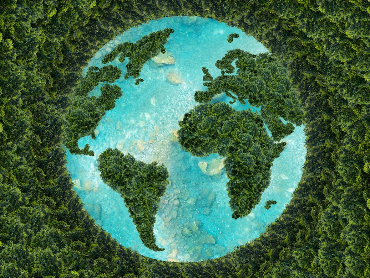 world