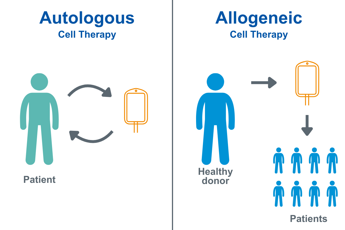Autologous vs Allogeneic