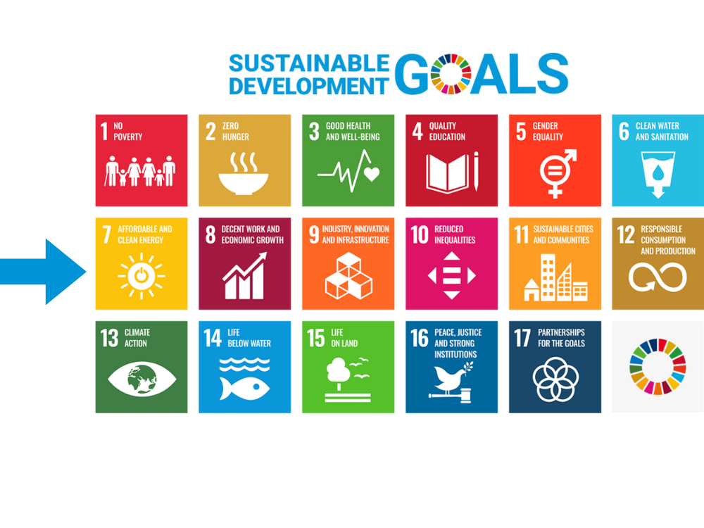 Millennium Development Goals (6)